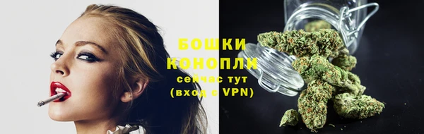 mix Ельня