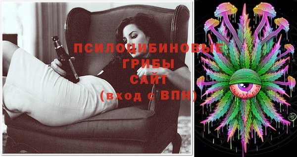 mix Ельня