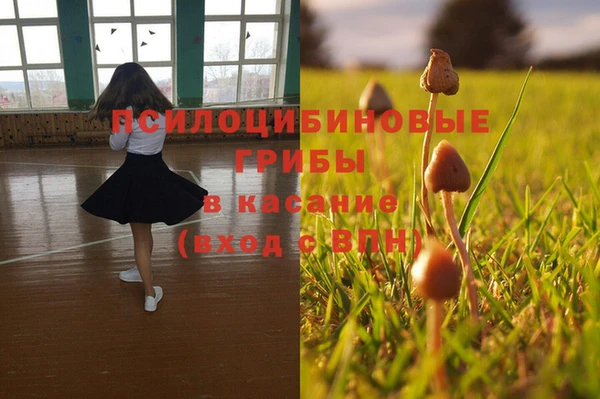 mix Ельня
