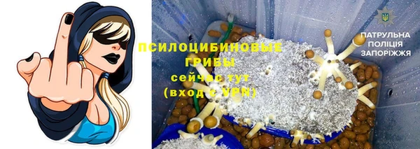 mix Ельня