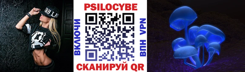 Купить  Чадан  Псилоцибиновые грибы MAGIC MUSHROOMS 